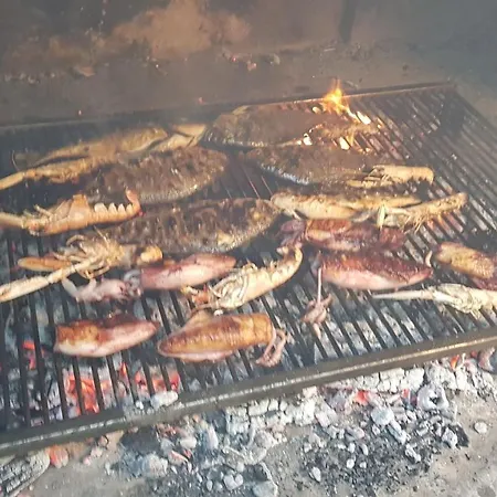 Ivanka Ap C Sa Grijanim Bazenom I Besplatnim Parkingom Apartment Murter